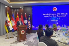 中国—东盟核心同东友邦家驻华经贸担任