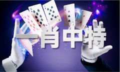一码到底什么意义 - 一码到底什么意义老